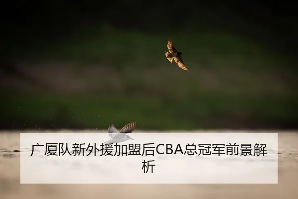 广厦队新外援加盟后CBA总冠军前景解析